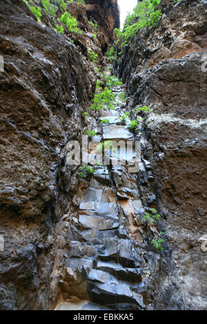 vulkanischen Gesteinsschichten in Masca Valley, Kanaren, Teneriffa, Masca Stockfoto