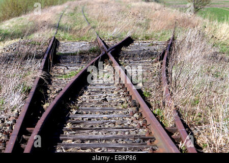 Wahlbeteiligung auf einer stillgelegten Eisenbahnstrecke verfolgen, Deutschland, Mecklenburg-Vorpommern, Pruchten Stockfoto