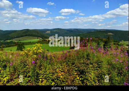 Panoramablick über hügelige Wald- und Wiesenlandschaft Landschaft im Hochsauerland zwischen Oberkirchener Und Westfeld, Deutschland, Nordrhein-Westfalen, Hochsauerland Westfeld Stockfoto