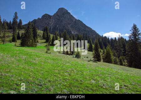 Panoramablick im Frühjahr im Tannheimer Berge über das Tannheimer Tal auf Einstein (1866 m), Österreich, Tirol Stockfoto