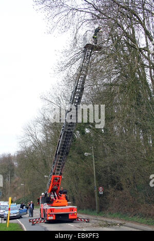 Feuerwehr gefährlichere überhängende Zweigen eine Asche entfernen Stockfoto