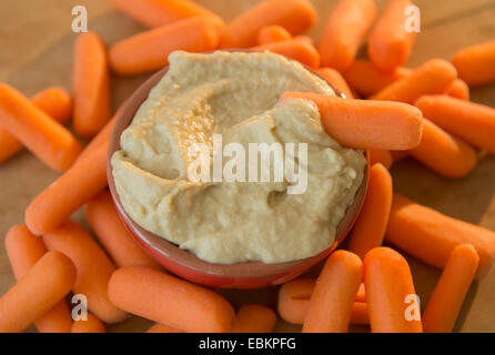Studio shot der Hummus und baby-Karotten Stockfoto