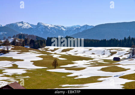 Blick vom Wildsteig zum Ammergauer Alpen, Deutschland, Bayern, Oberbayern, Oberbayern Stockfoto