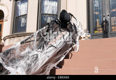 Haus dekoriert für Halloween mit Spinne und Web, Park Slope, Brooklyn, NYC, USA Stockfoto