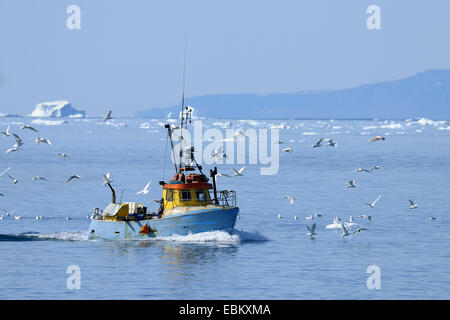 Angelboot/Fischerboot, Ilulissat, Grönland, Diskobucht Stockfoto