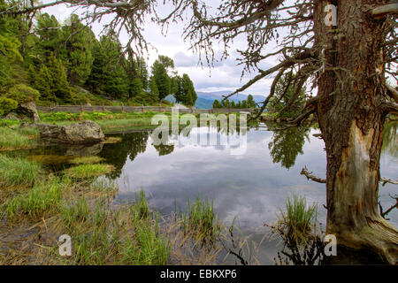 See-Windebensee, Österreich, Kärnten, Nationalpark Nockberge Stockfoto