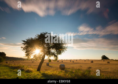 bewegte Wolken über ein Stoppelfeld mit Heuballen, Deutschland, Sachsen, Vogtlaendische Schweiz Stockfoto