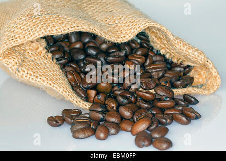 geröstete Kaffeebohnen Stockfoto