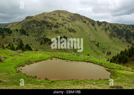 Alp mit kleinen Bergsee, Simmerleck Berg im Hintergrund, Österreich, Kärnten, Nationalpark Nockberge Stockfoto