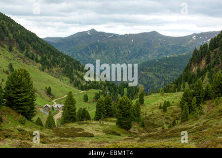 Berglandschaft, Rodresnock im Hintergrund, Österreich, Kärnten, Nationalpark Nockberge Stockfoto