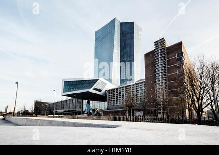 Turm der neuen Europäischen Zentralbank. Es ist der Sitz der EZB, Frankfurt am Main, Deutschland. Stockfoto