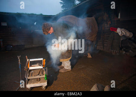 Hufschmied, Mike Moss, Godshill, Isle Of Wight, England, UK, Stockfoto