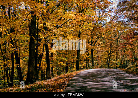 Eine Landstraße durch einen Wald im Brown County Indiana mit Herbstlaub. Stockfoto