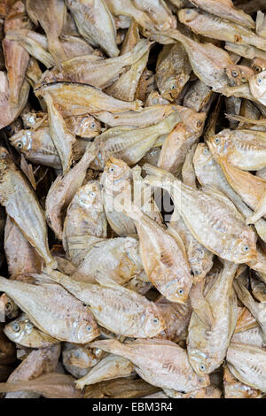 Getrockneter Fisch auf Markt, Miri, Malaysia Stockfoto