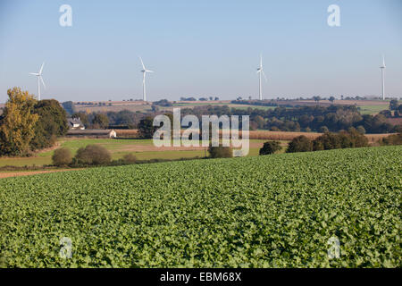 Fruchtbares Land die grünende Pflanzen anbauen mit Windkraftanlagen am Horizont Stockfoto