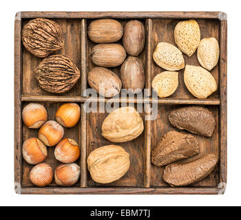 eine Vielzahl von Nüssen (Walnuss, Pekannuss, Haselnuss, Brasilianer und Mandel) in einer rustikalen Holzkiste, isoliert auf weiss Stockfoto