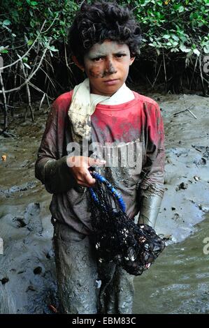 Schwarze Muscheln Picker - Mangroven in PUERTO PIZARRO. Abteilung von Tumbes. Peru Stockfoto