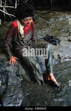 Schwarze Muscheln Picker - Mangroven in PUERTO PIZARRO. Abteilung von Tumbes. Peru Stockfoto