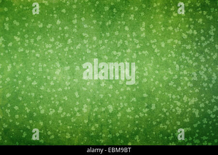 St. Patricks Tag grüne Grunge Hintergrund. Stockfoto