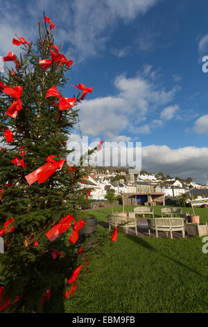 Dorf von Aberdovey, Wales. Malerische Aussicht auf einen Weihnachtsbaum auf Aberdovey Waterfront Park. Stockfoto