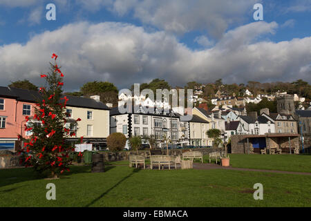 Dorf von Aberdovey, Wales. Malerische Aussicht auf einen Weihnachtsbaum auf Aberdovey Waterfront Park. Stockfoto