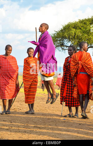 Tanz der Maasai Mara in kenia Stockfoto