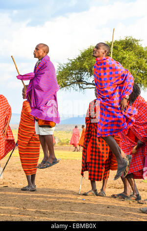 Tanz der Maasai Mara in kenia Stockfoto