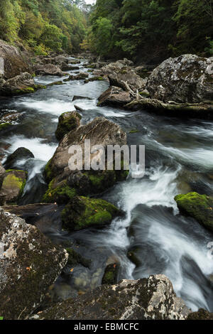 Der Fluß Glaslyn fließt zwischen den Bäumen und Felsen des Aberglaslyn Passes in Snowdonia, Gwynedd, Nordwales Stockfoto