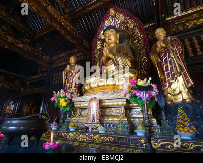 Goldene Buddha-Statue im Tempel Da Ci'en in Xian, China Stockfoto