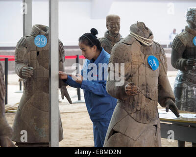 Archäologen arbeiten an Kaiser Qin Shi Huang Terrakotta Armee Krieger Skulptur in Xian, Provinz Shaanxi, China Stockfoto