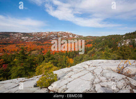 Quarzit Lefka am Gipfel Herbstfärbung im Süden La Cloche Bereich, Killarney Provincial Park, Ontario, Kanada. Stockfoto