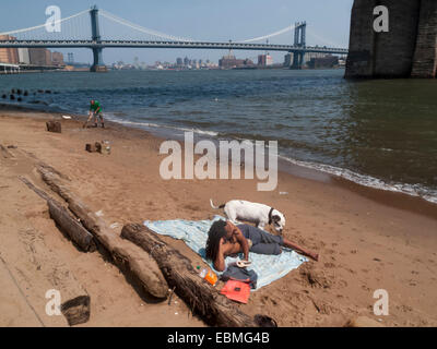 New York, NY 25. Juli 2009 - zwei Männer und ein Hund am Strand unter der Brooklyn Bridge. Man reinigt die anderen Sonnenbäder. Stockfoto