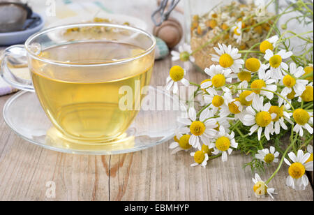 Tasse Kräuter Kamillentee auf einem Holztisch. Kamillentee in eine transparente Becher und Kamille Blumen auf Holztisch. Stockfoto