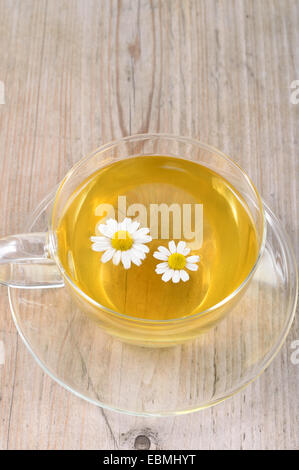 Tasse Kräuter Kamillentee auf einem Holztisch. Kamillentee in eine transparente Becher und Kamille Blumen auf Holztisch. Stockfoto