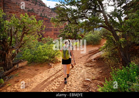 Wanderer auf dem Weg zum Canyon Overlook, Zion Nationalpark, Utah, Vereinigte Staaten von Amerika Stockfoto