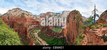 Panoramablick auf Zion Canyon der Angel Landing Felsformation mit steilen Klippen auf beiden Seiten, Zion Nationalpark, Utah Stockfoto