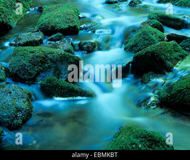 Wild Behälters River, smaragdgrünen Wasser fließt zwischen moosbewachsenen Steinen, Biosphärenreservat Vesser, Thüringen, Deutschland Stockfoto