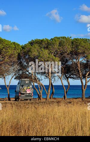Wohnmobil zwischen Pinien am Strand, Costa Rei, Cagliari, Sardinien, Italien-Provinz Stockfoto
