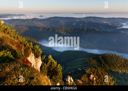 Blick vom Alberfeldkogel Berg über See Langbathsee im Nebel, Feuerkogel Bereich, Höllengebirge Berge, Salzkammergut Stockfoto