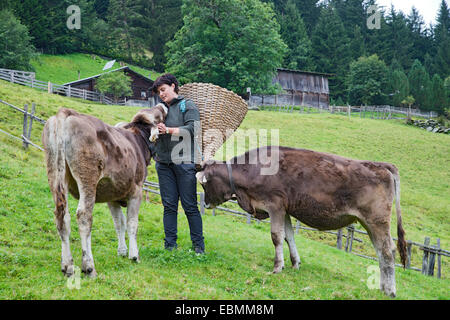 Junger Bauer bei der Arbeit auf einem Bauernhof mit Kälbern auf der Alp, Bauernhof Sprenger Familie, Bezirk Schwaz, Tirol Stockfoto