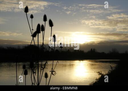 Jubilee River, Berkshire, UK. 3. Dezember 2014. UK-Wetter. Die Sonne geht über den Jubilee River bei Datchet.  Der Fluss ist ein Mann gemacht Fluthilfe entwickelt, um Wasser von der Themse, Maidenhead und Windsor vor Überflutung zu stoppen umzuleiten. Bildnachweis: Ed Brown/Alamy Live-Nachrichten Stockfoto