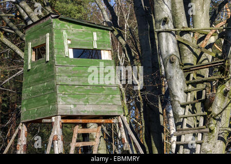 Grün Holz Jagd Sitz am Waldrand, Tschechische Republik Stockfoto