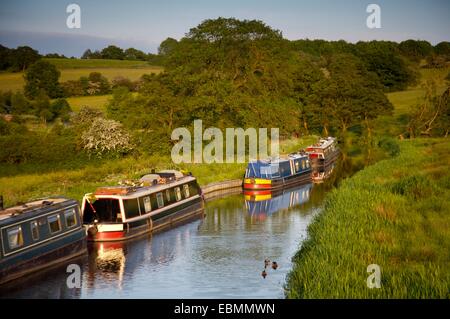 Narrowboats auf Caldon Kanal, Staffordshire, UK Stockfoto