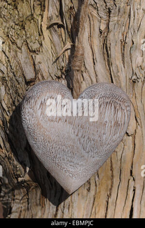 Herz aus Holz auf einem Baumstamm Stockfoto