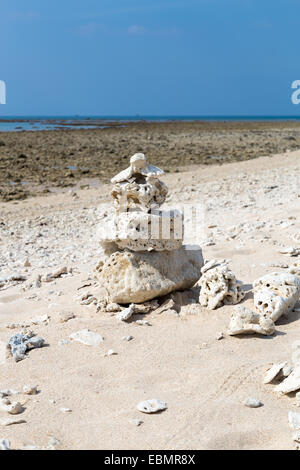 Korallenbleiche am Sandstrand am Meer Stockfoto