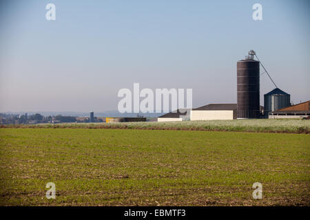 Ackerland in der Bretagne, Frankreich Stockfoto