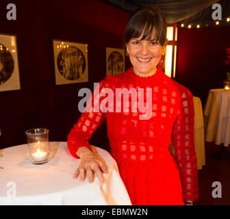 Berlin, Deutschland. 29. November 2014. Sterne Konditor, Cynthia Barcomi, posiert vor dem Kanzleramt in Berlin, Deutschland, bin eine Leistung von Gayle Tufts "Love" im Tipi 29. November 2014. Foto: Paul Zinken/Dpa/Alamy Live News Stockfoto