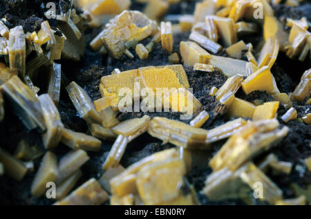Wulfenite, Slowenien Stockfoto