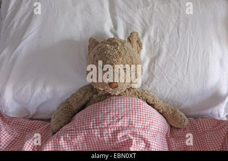 Ein Teddybär in einem jungen Kinder Bett Stockfoto