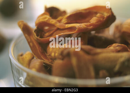 Muskatnuss, Muskatblüte (Myristica Fragrans), getrocknet Samenschale in einer Petrischale Stockfoto